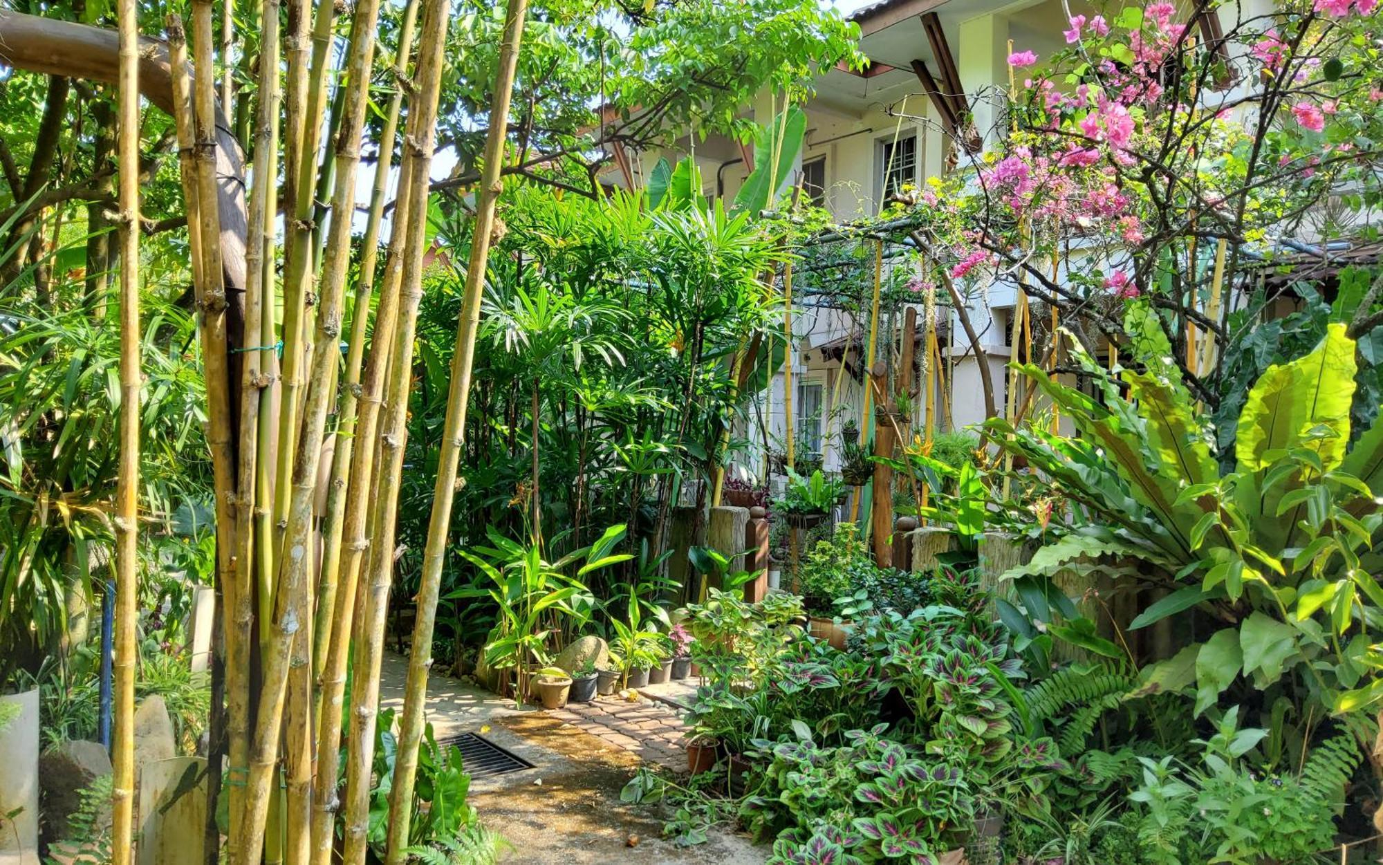 Transit Romestay Homestay
